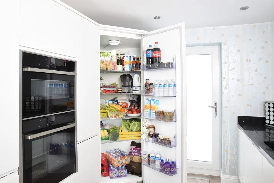 Refrigerator-Repair--in-Woodbury-New-York-Refrigerator-Repair-5095-image