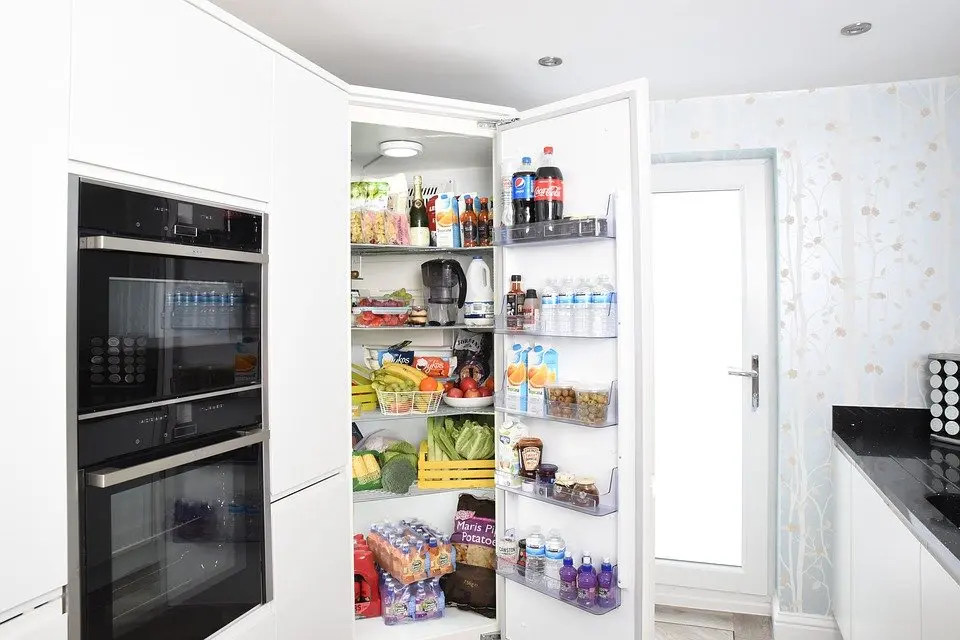 Refrigerator-Repair--in-Bayville-New-York-Refrigerator-Repair-5095-image