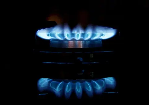 Thermador-Appliance-Repair--in-Roslyn-Heights-New-York-thermador-appliance-repair-roslyn-heights-new-york.jpg-image